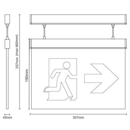 LED nødlampe LED/4W/230V 6000K 1000 mAh