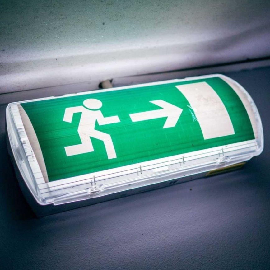 LED nødlampe med en almindelig funktionstest EMERGENCY EXIT LED/3W/230V 6400K IP65