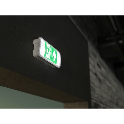 LED nødlampe VIRGO EVO LED/1W/230V 6000K IP65