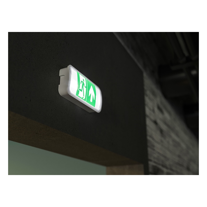 LED nødlampe VIRGO EVO LED/1W/230V 6000K IP65