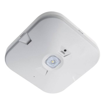 LED nødlys GATRION LED/3/1W/3,2V 6000K 3000 mAh IP54 hvid
