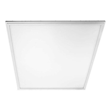 LED panel 2-i-1 LED/40W/230V 4000K 60x60 cm