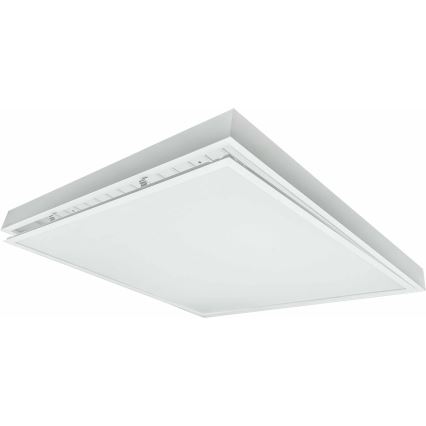 LED panel ILLY LED/36W/230V