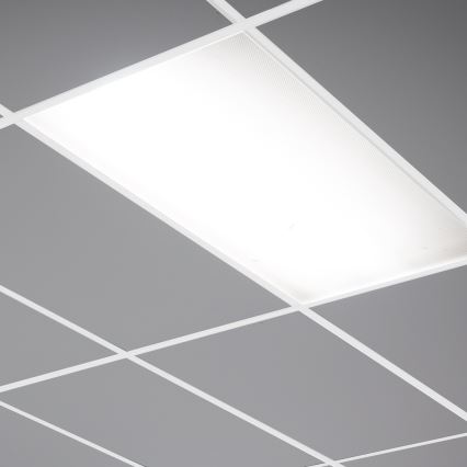 LED panel LED/24W/230V 4000K