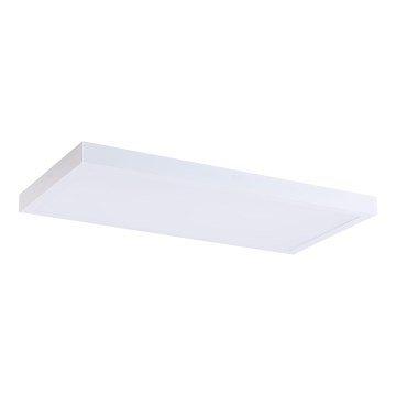 LED panel LED/36W/230V 4000K 30x60 cm hvid