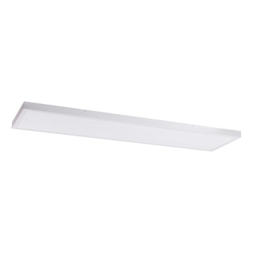 LED panel LED/60W/230V 4000K 30x120 cm hvid