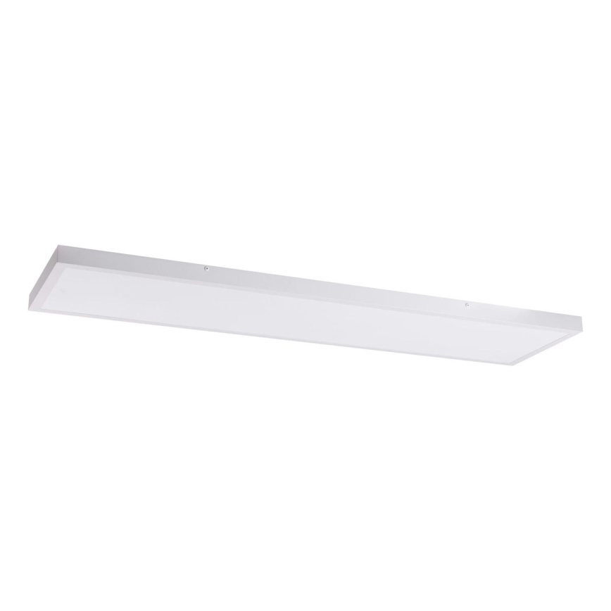 LED panel LED/60W/230V 4000K 30x120 cm hvid