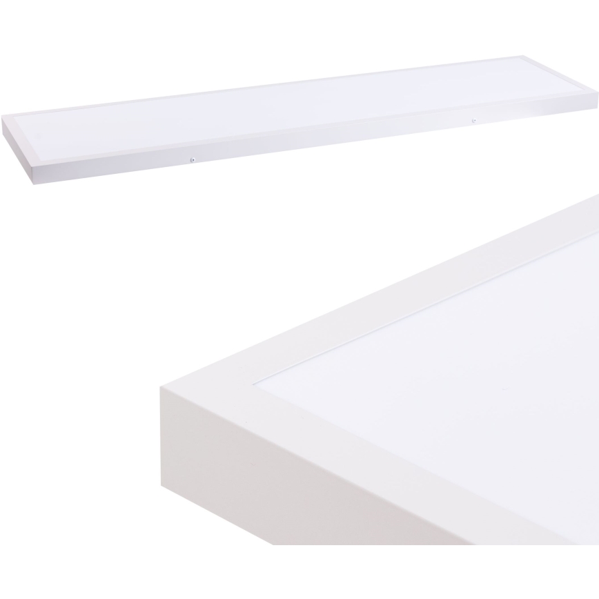LED panel LED/60W/230V 4000K 30x120 cm hvid