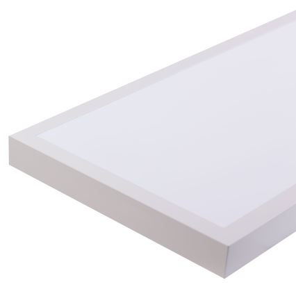 LED panel LED/60W/230V 4000K 30x120 cm hvid