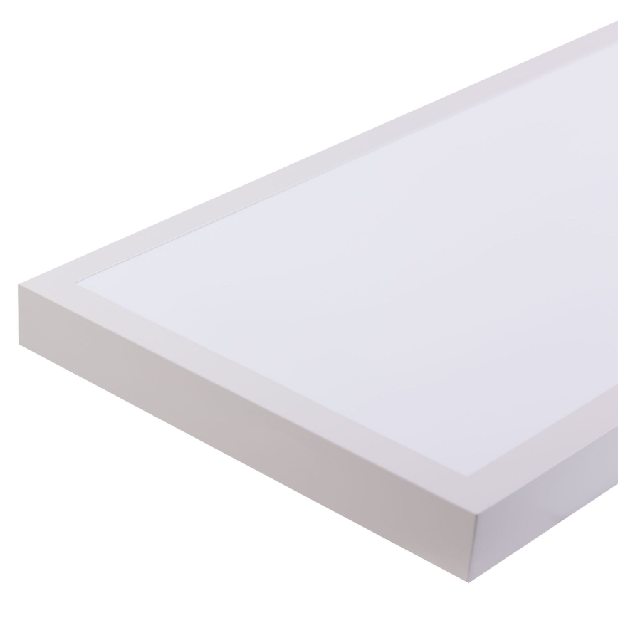 LED panel LED/60W/230V 4000K 30x120 cm hvid