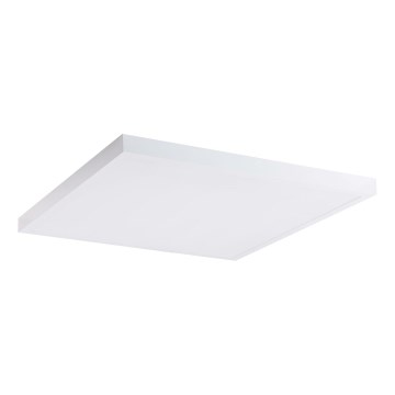 LED panel LED/60W/230V 4000K 60x60 cm hvid