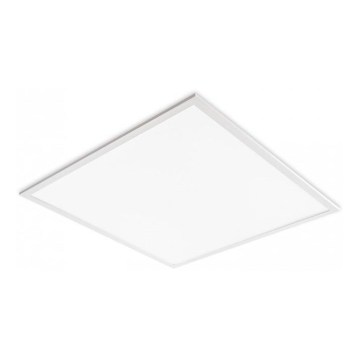 LED-panel til nedhængt loft DAVRO LED/40W/230V 4000K 62x62 cm hvid