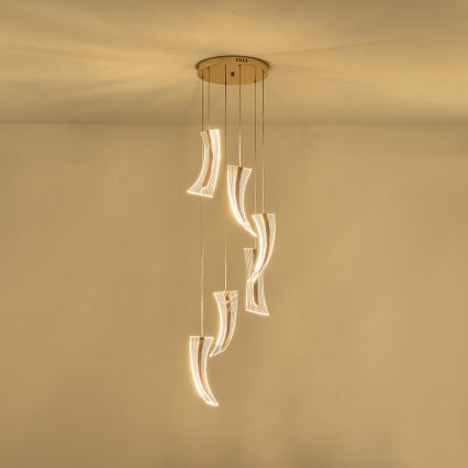LED pendel 6xLED/10W/230V 3000K