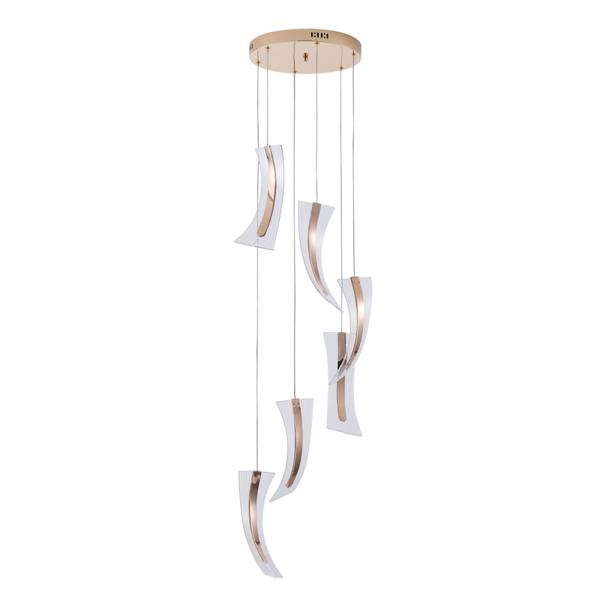LED pendel 6xLED/10W/230V 3000K