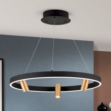 LED pendel dæmpbar BERLIN LED/50W/230V sort/guldfarvet