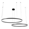 LED pendel dæmpbar LED/100W/230V 3000-6500K + fjernbetjening