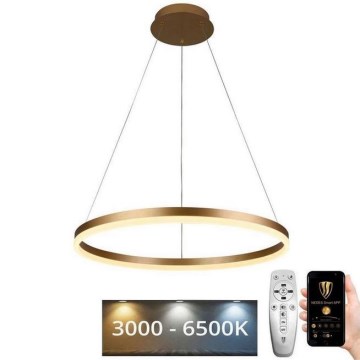 LED pendel dæmpbar LED/42W/230V 3000-6500K diameter 60 cm + fjernbetjening