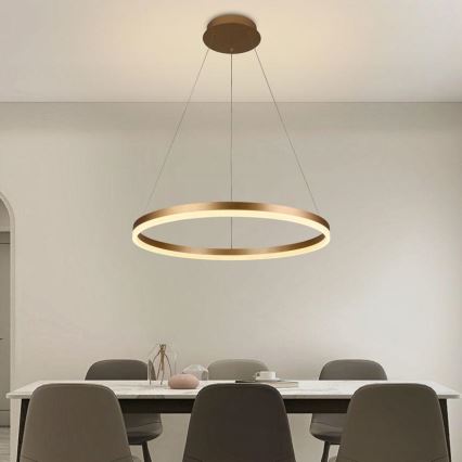 LED pendel dæmpbar LED/42W/230V 3000-6500K diameter 60 cm + fjernbetjening
