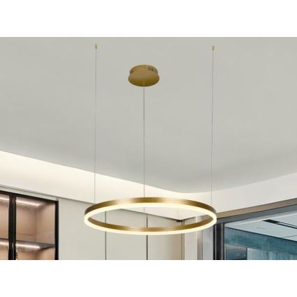 LED pendel dæmpbar LED/42W/230V 3000-6500K + fjernbetjening