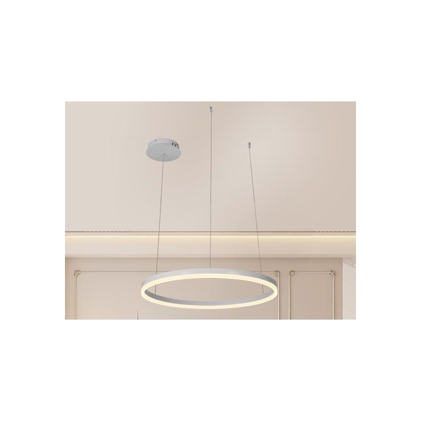 LED pendel dæmpbar LED/42W/230V 3000-6500K + fjernbetjening