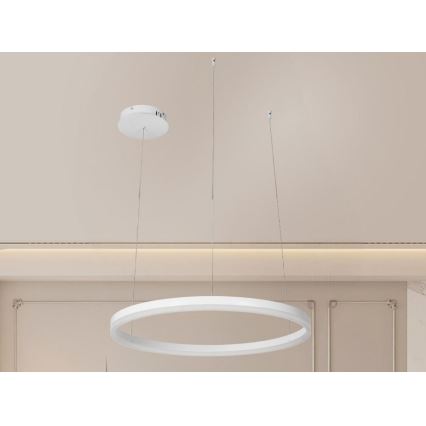 LED pendel dæmpbar LED/42W/230V 3000-6500K diameter 60 cm + fjernbetjening