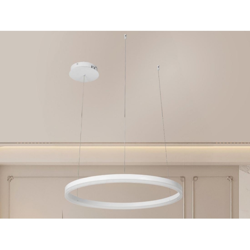 LED pendel dæmpbar LED/42W/230V 3000-6500K diameter 60 cm + fjernbetjening
