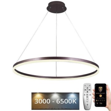 LED pendel dæmpbar LED/55W/230V 3000-6500K diameter 80 cm + fjernbetjening