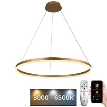 LED pendel dæmpbar LED/55W/230V 3000-6500K diameter 80 cm + fjernbetjening
