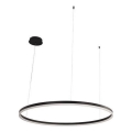 LED pendel dæmpbar LED/55W/230V 3000-6500K + fjernbetjening