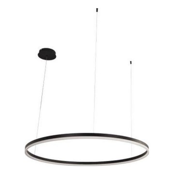 LED pendel dæmpbar LED/55W/230V 3000-6500K + fjernbetjening