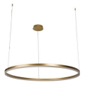 LED pendel dæmpbar LED/55W/230V 3000-6500K + fjernbetjening