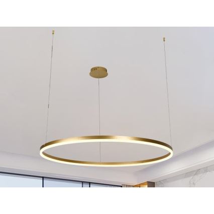 LED pendel dæmpbar LED/55W/230V 3000-6500K + fjernbetjening