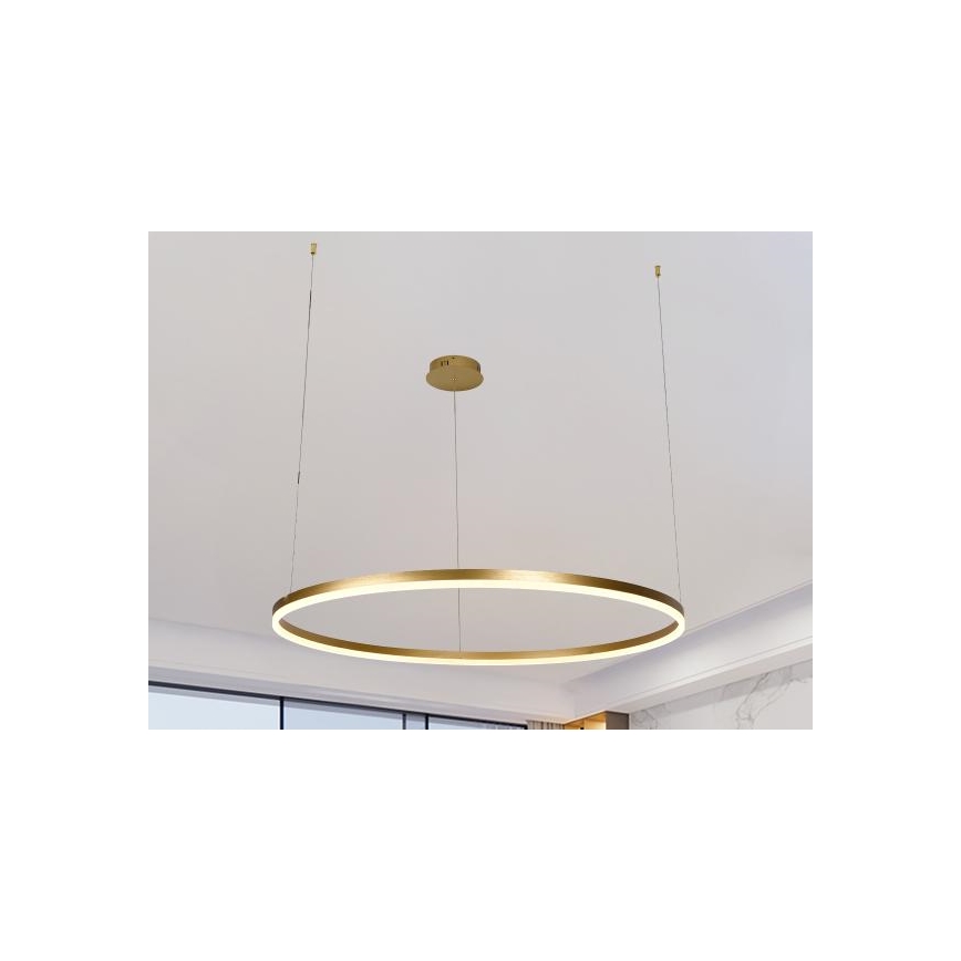 LED pendel dæmpbar LED/55W/230V 3000-6500K + fjernbetjening