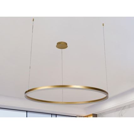 LED pendel dæmpbar LED/55W/230V 3000-6500K + fjernbetjening