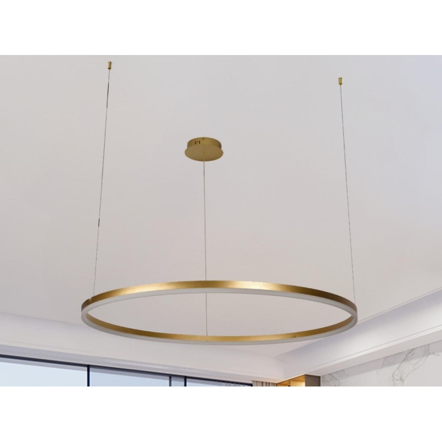 LED pendel dæmpbar LED/55W/230V 3000-6500K + fjernbetjening