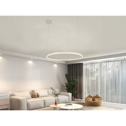 LED pendel dæmpbar LED/55W/230V 3000-6500K + fjernbetjening