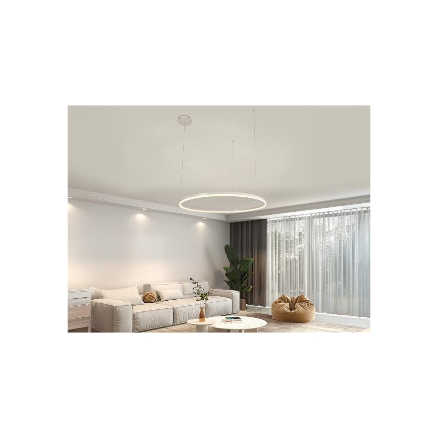 LED pendel dæmpbar LED/55W/230V 3000-6500K + fjernbetjening
