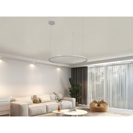 LED pendel dæmpbar LED/55W/230V 3000-6500K + fjernbetjening