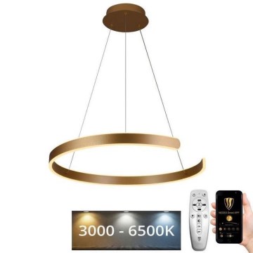 LED pendel dæmpbar LED/70W/230V 3000-6500K diameter 60 cm + fjernbetjening