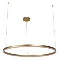 LED pendel dæmpbar LED/72W/230V 3000-6500K + fjernbetjening