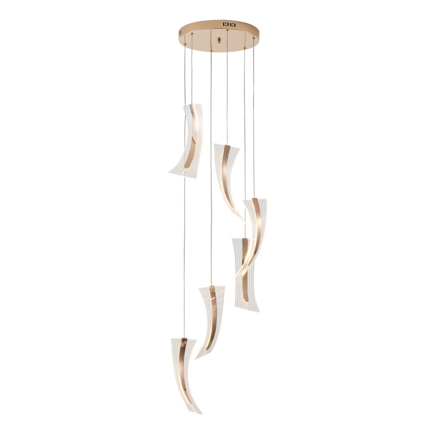 LED pendel FIRENZE 6xLED/10W/230V 3000K