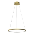LED pendel HOOP LED/27W/230V diameter 50 cm 4000K guldfarvet