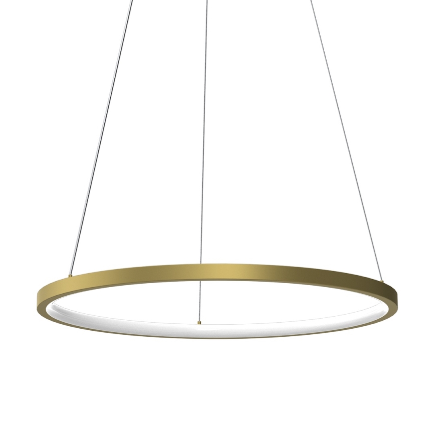 LED pendel HOOP LED/27W/230V diameter 50 cm 4000K guldfarvet
