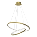LED pendel HOOP LED/51W/230V diameter 60 cm 4000K guldfarvet