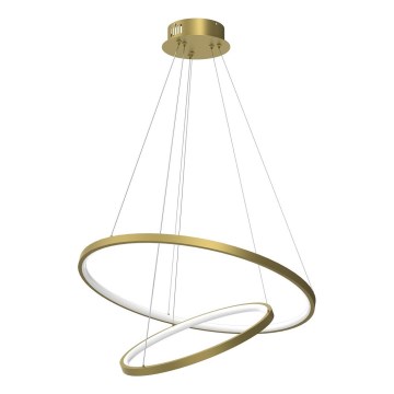 LED pendel HOOP LED/51W/230V diameter 60 cm 4000K guldfarvet