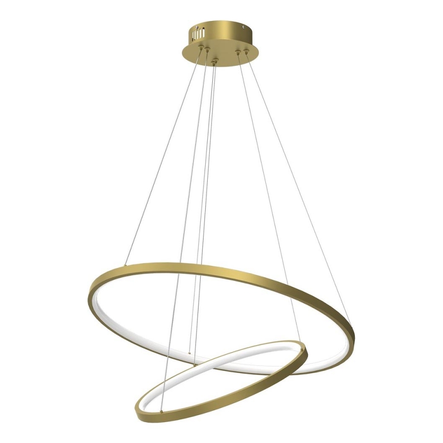LED pendel HOOP LED/51W/230V diameter 60 cm 4000K guldfarvet