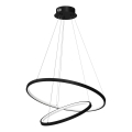 LED pendel HOOP LED/51W/230V diameter 60 cm 4000K sort