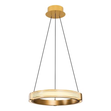 LED-pendel JESI med wireophæng, LED/22W/230V, 3000K, Ø 40 cm, guld
