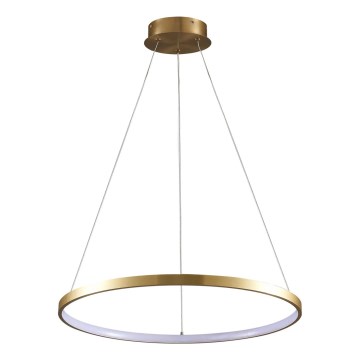 LED pendel LEA LED/20W/230V 4000K diameter 50 cm guldfarvet