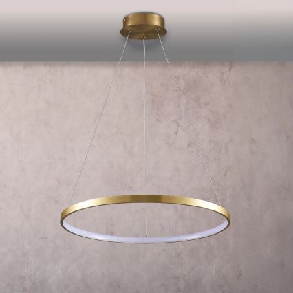 LED pendel LEA LED/20W/230V 4000K diameter 50 cm guldfarvet